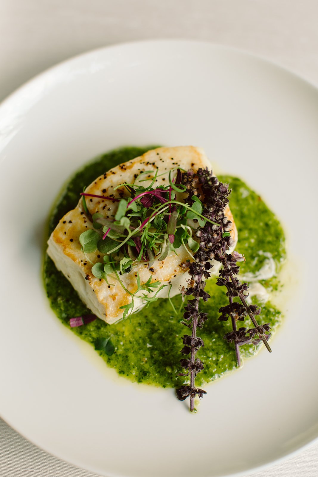 Plated fish with herb pesto and microgreens by Clementine Catering